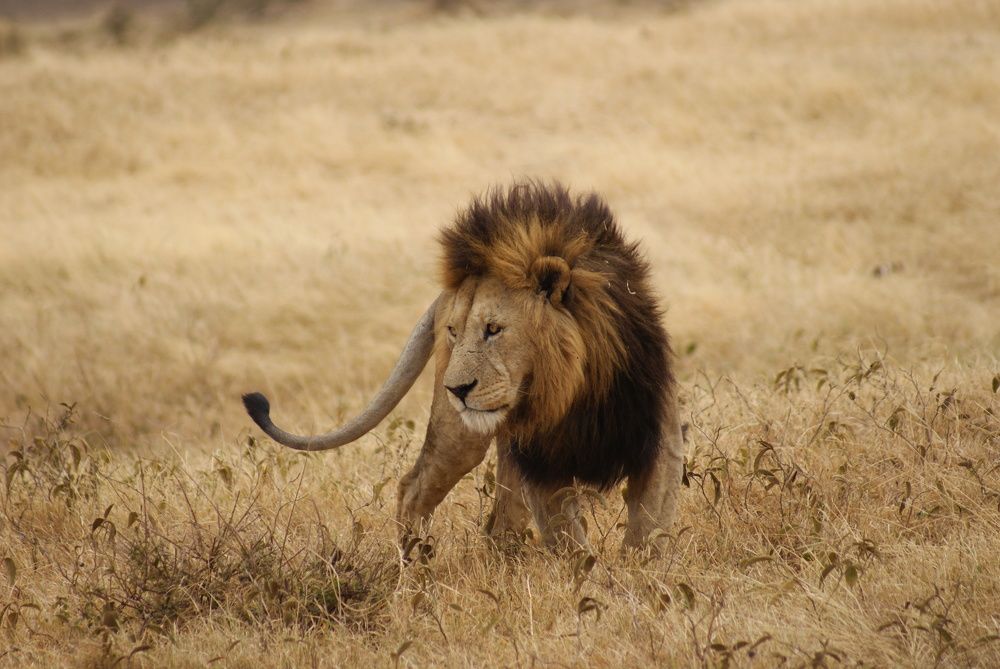 Photograph by Ирина