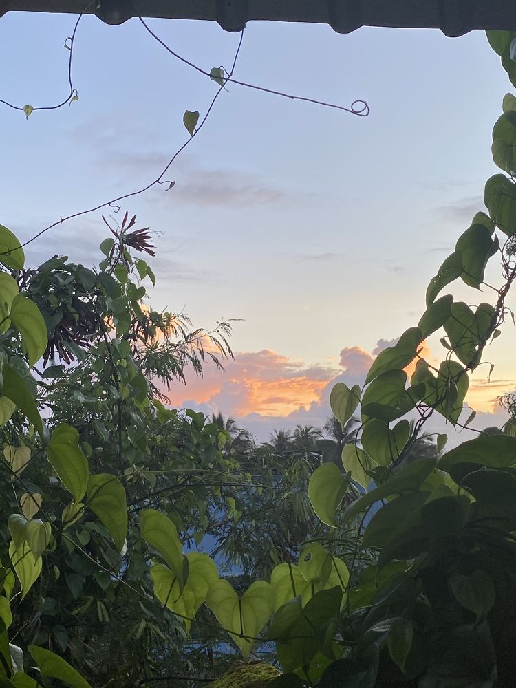 Фотография автора Naren Telluri