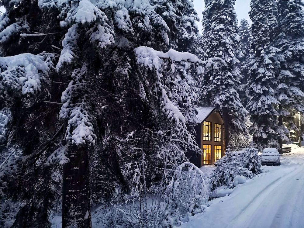 Photograph by Natali