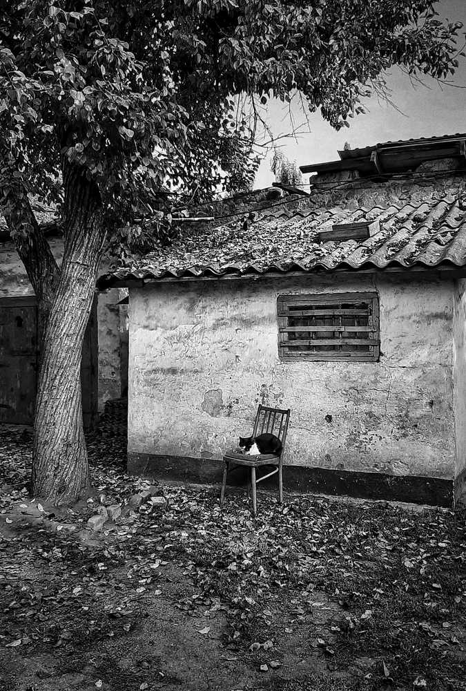 Фотография автора Светлана Груньковская