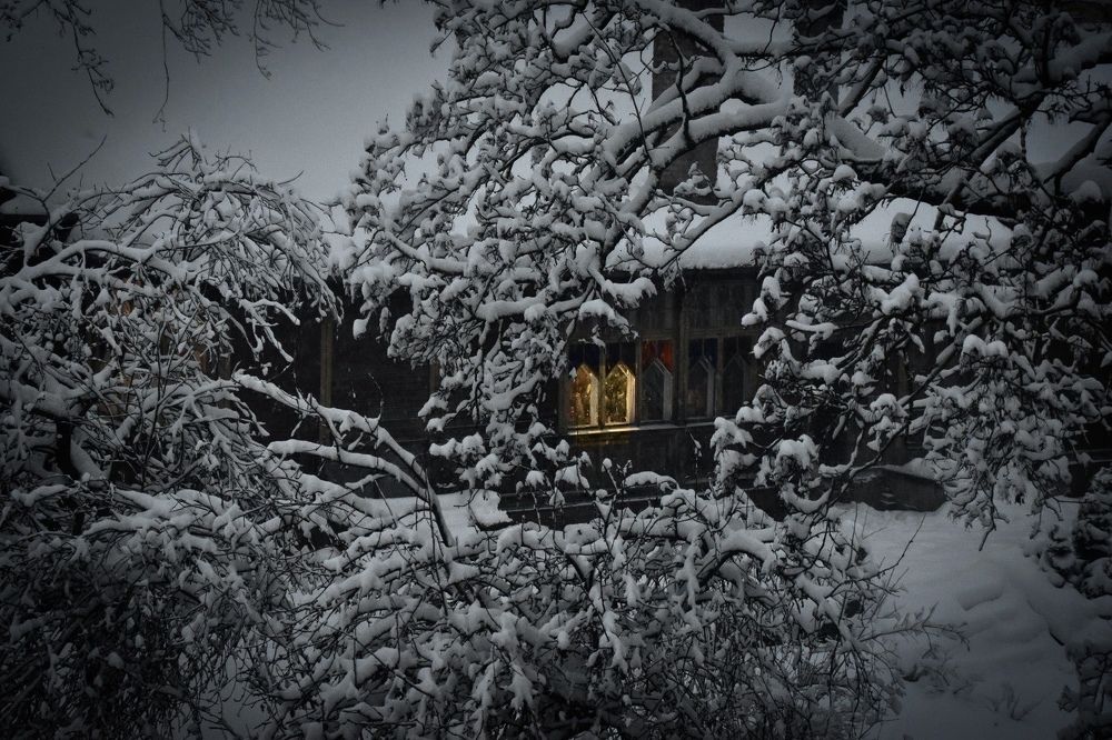 Photograph by Елена Антонова