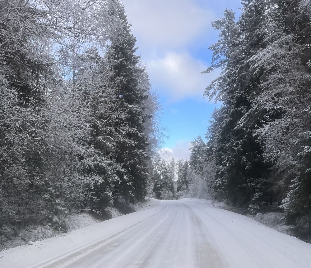 Photograph by Елена Антонова