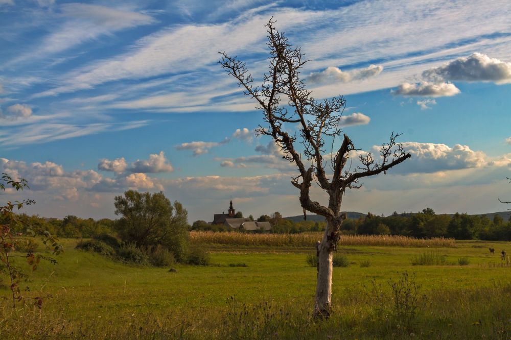 Photograph by Юрий Крилівець