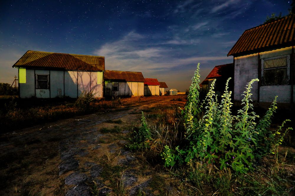 Photograph by Сергей Гринько