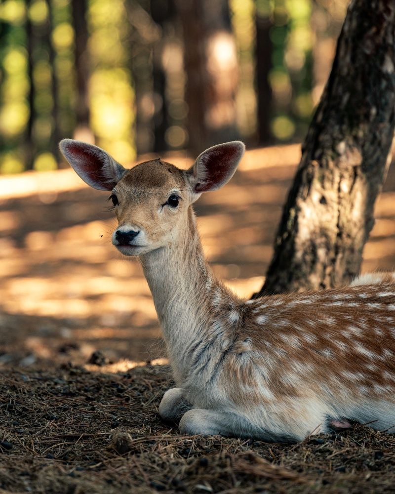 Photograph by Konstantina