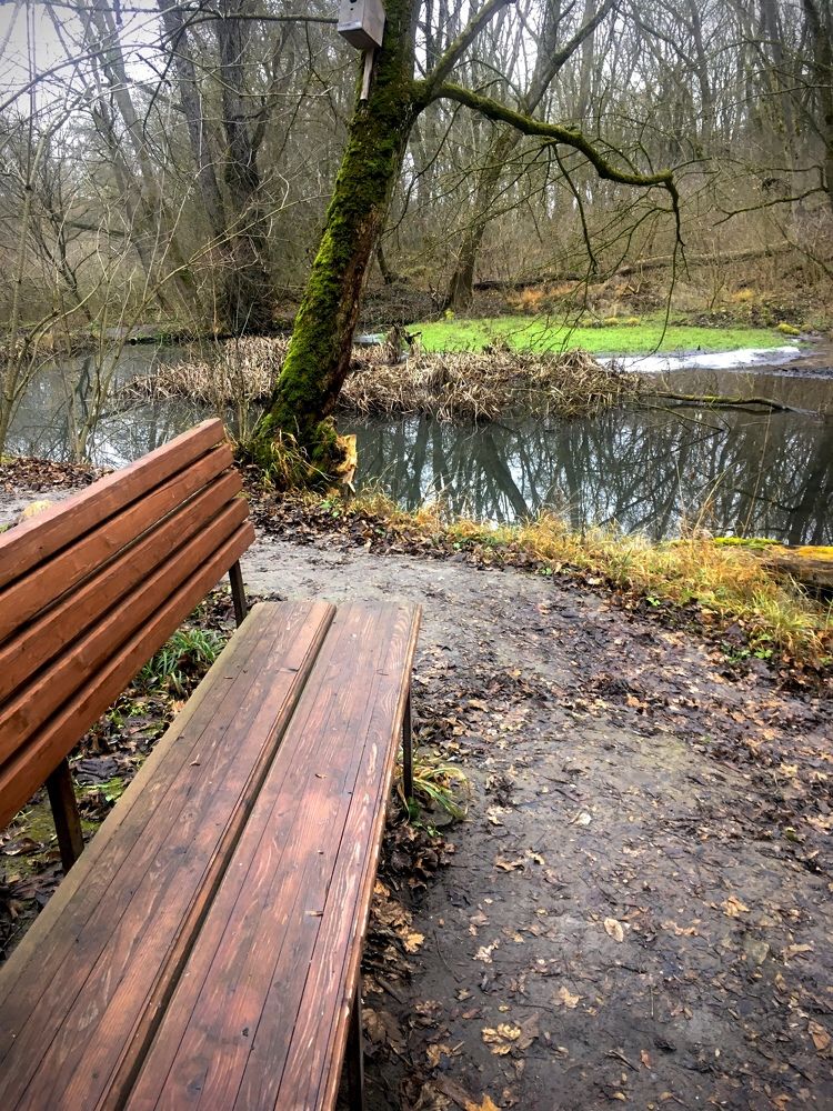 Photograph by Olga Afanaseva