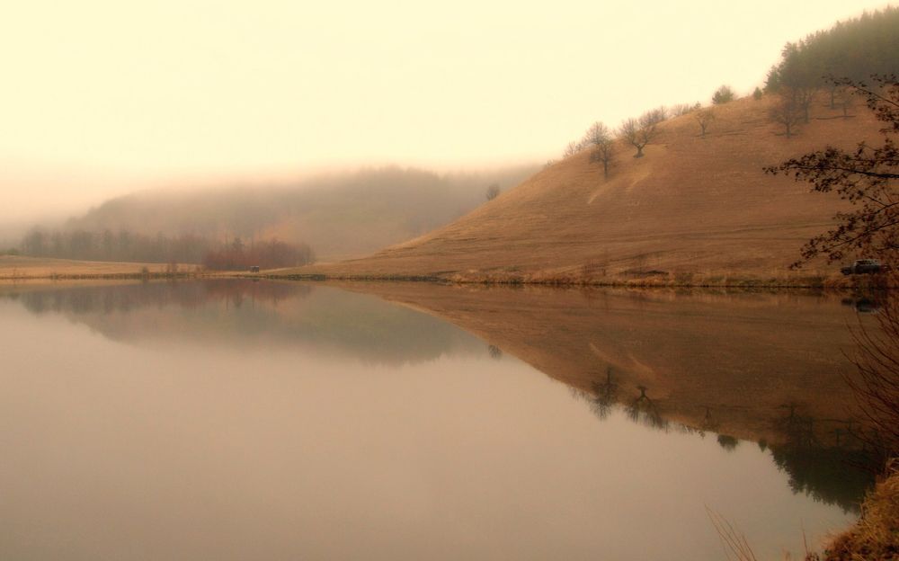 Photograph by Виталий Слёзка