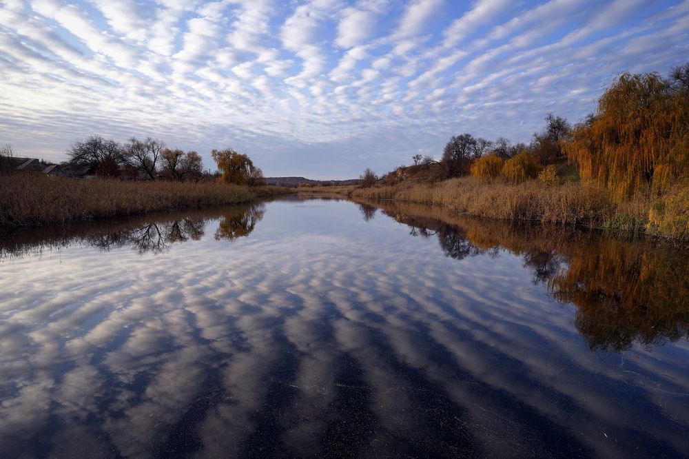 Фотография автора Светлана Груньковская