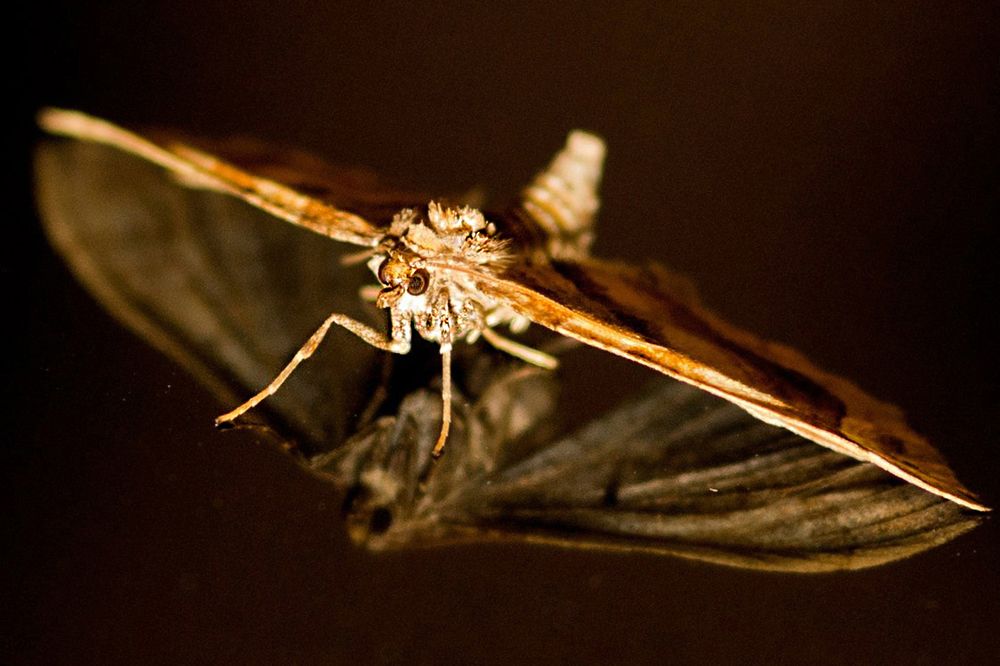 Photograph by Виталий Слёзка