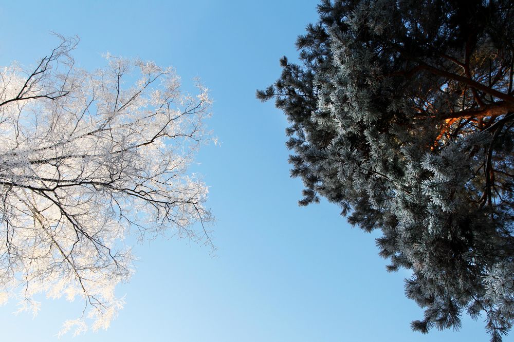 Photograph by Мария Утехина