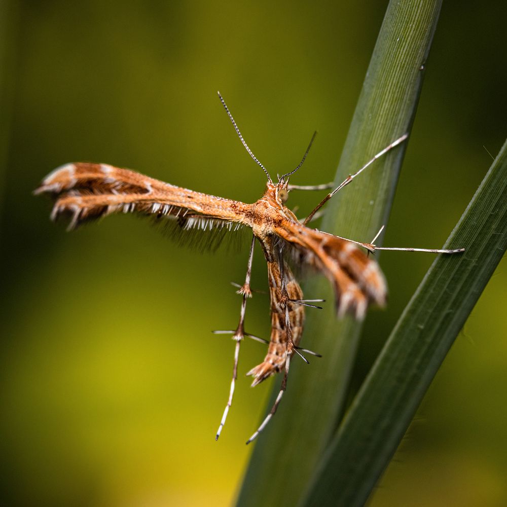 Фотография автора Alexander Dolapchiev