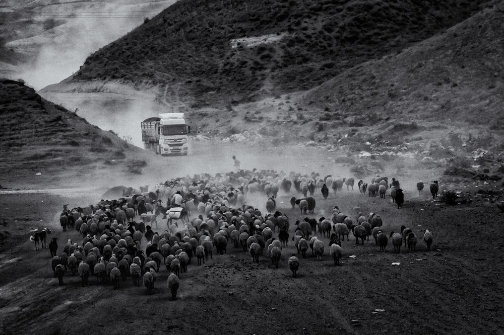 Фотография автора Aylin Turnator