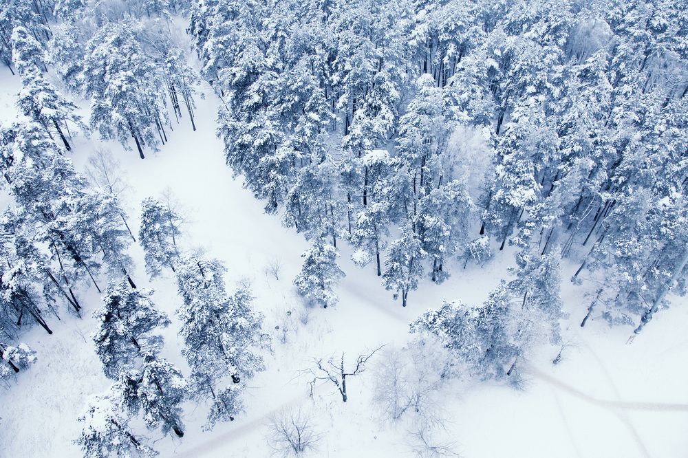 Photograph by Мария Утехина