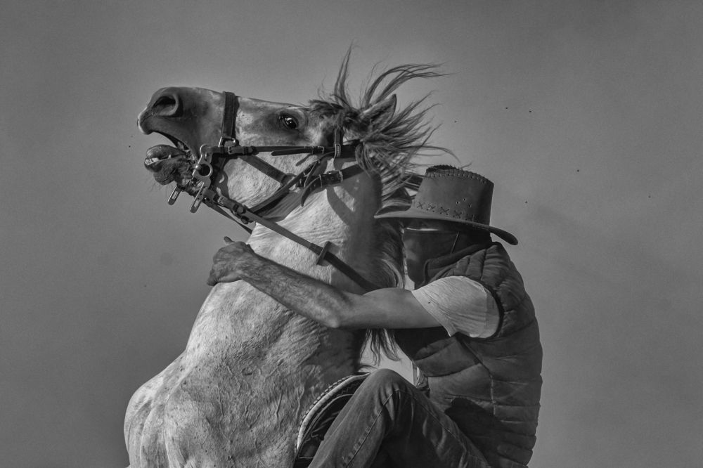 Фотография автора Aylin Turnator