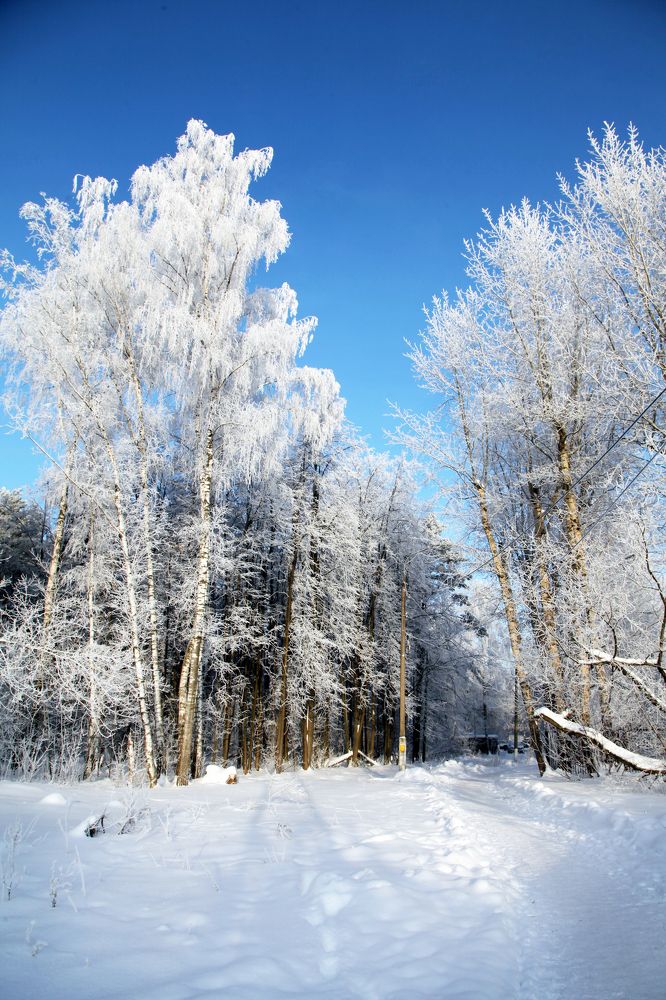 Photograph by Мария Утехина