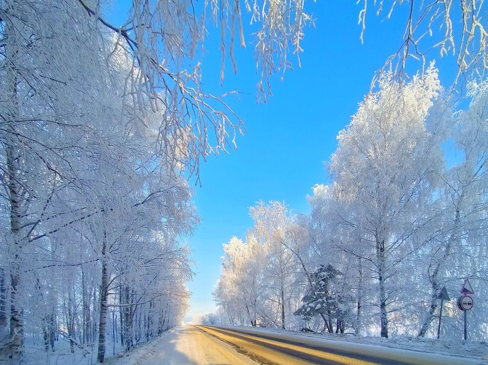 Photograph by Мария Воронцова