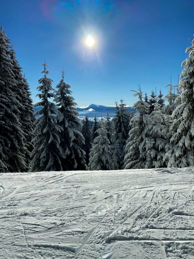 Photograph by Елена Лукьянова