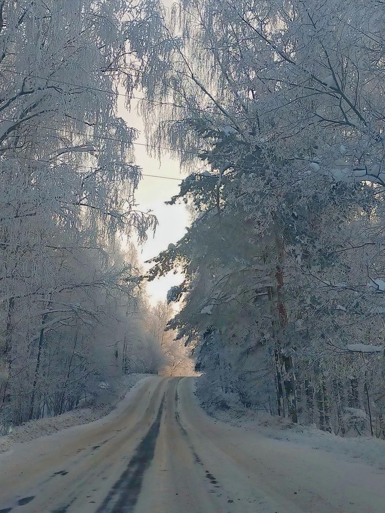 Photograph by Мария Воронцова