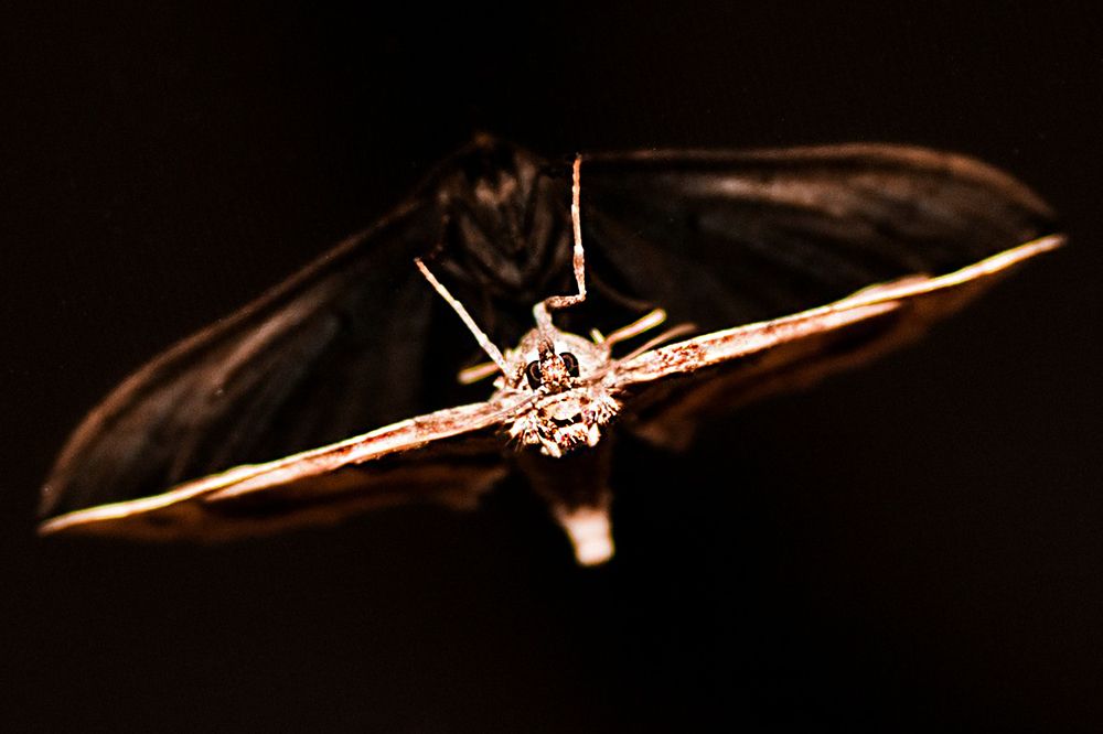 Photograph by Виталий Слёзка