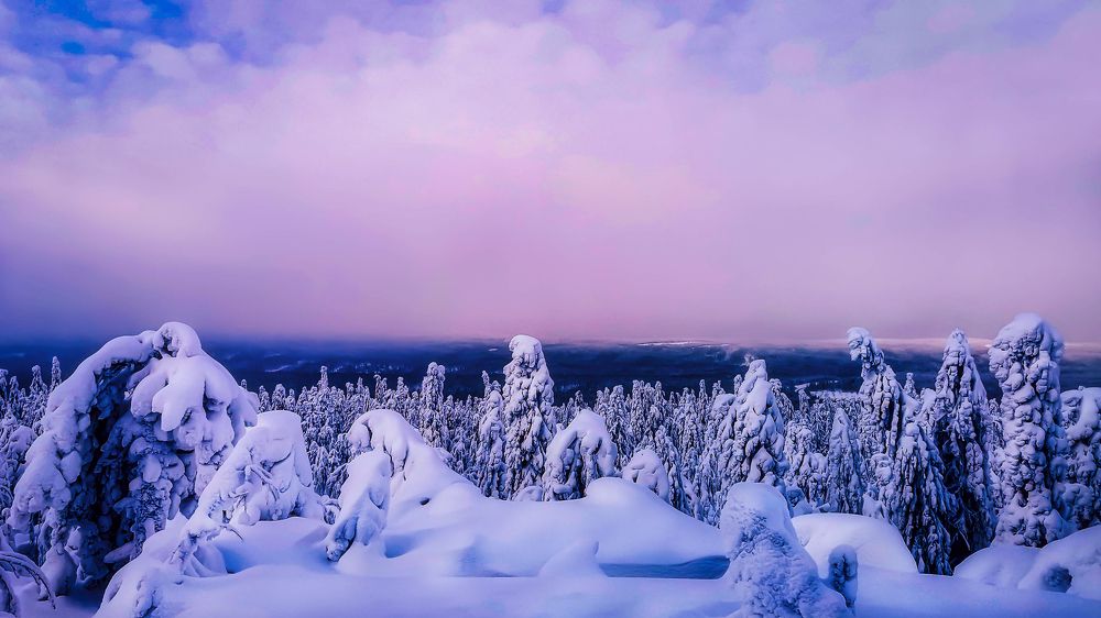 Photograph by Светлана Перминова