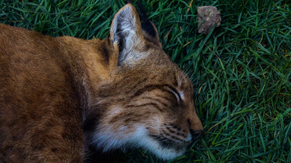 Photograph by Андрей Варакса