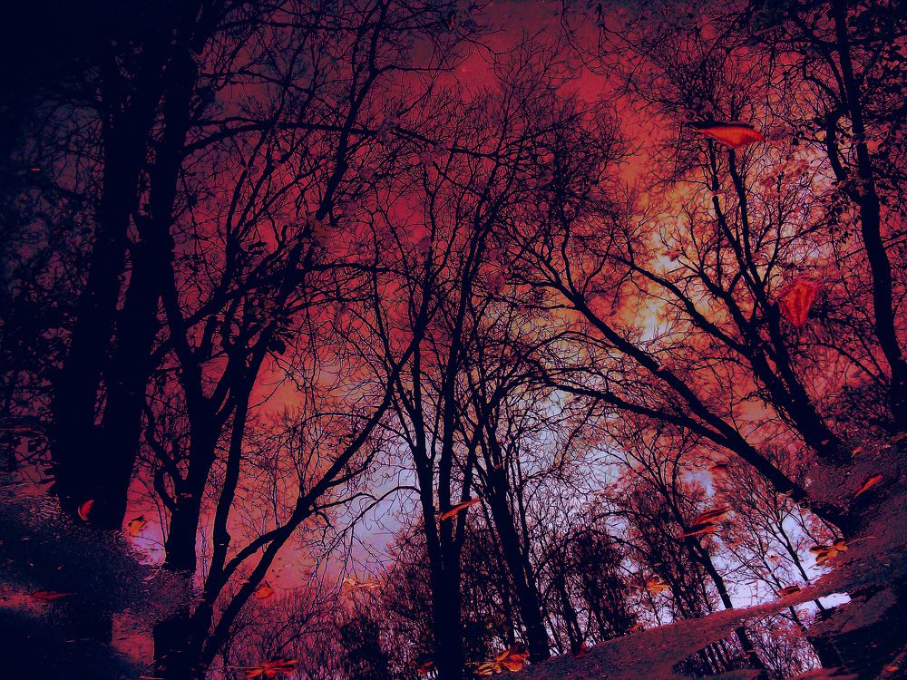 Photograph by Zhelyazko Atanasow