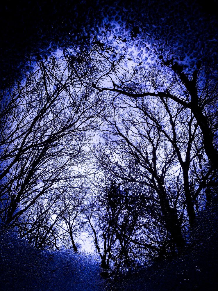 Photograph by Zhelyazko Atanasow
