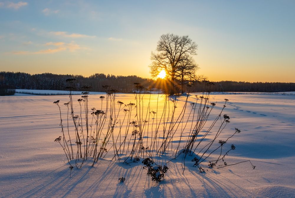 Photograph by JANIS BIJA