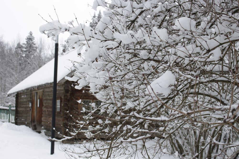 Photograph by Natalia Bobrova