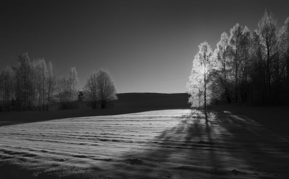 Photograph by Juris Buklovskis