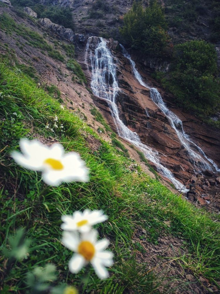 Photograph by Pourya farajpour