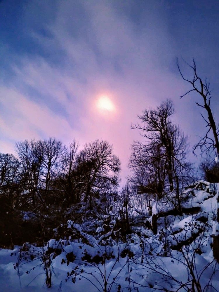Photograph by Elena Lukashina