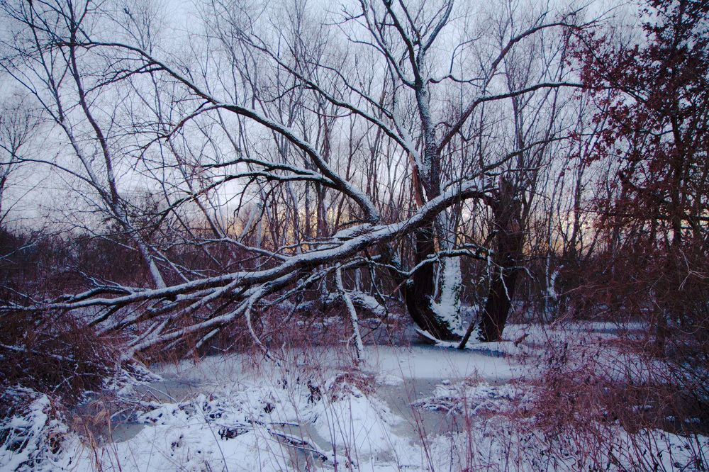 Photograph by Ольга Багрова