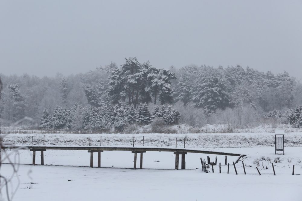 Фотография автора Andrzej