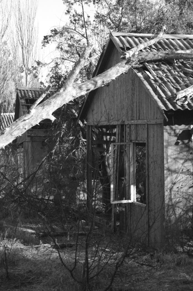 Photograph by Богдан