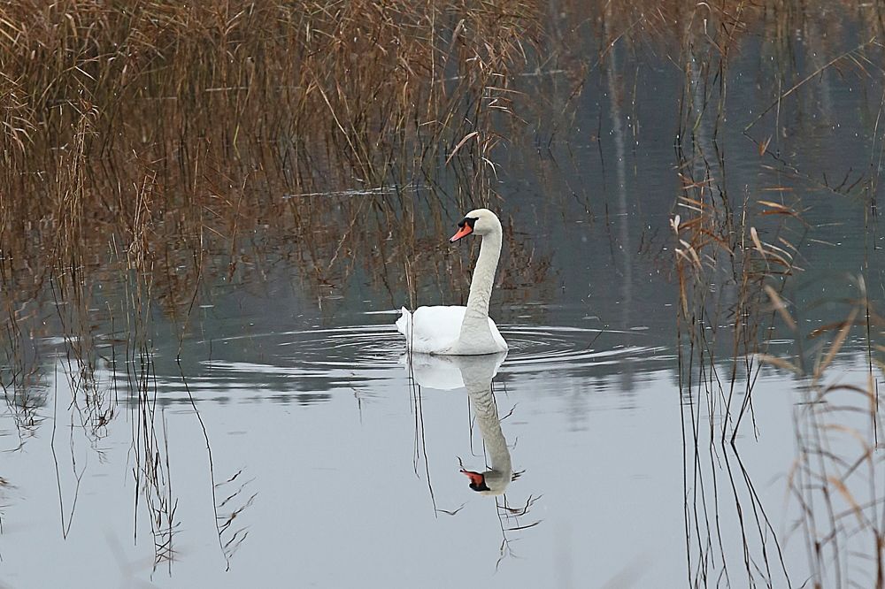 Фотография автора Andrzej