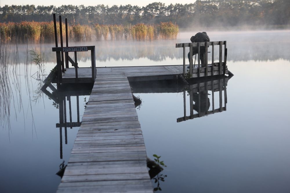 Фотография автора Andrzej