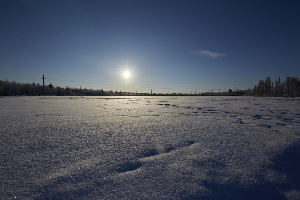 Photograph by Николай Ткач