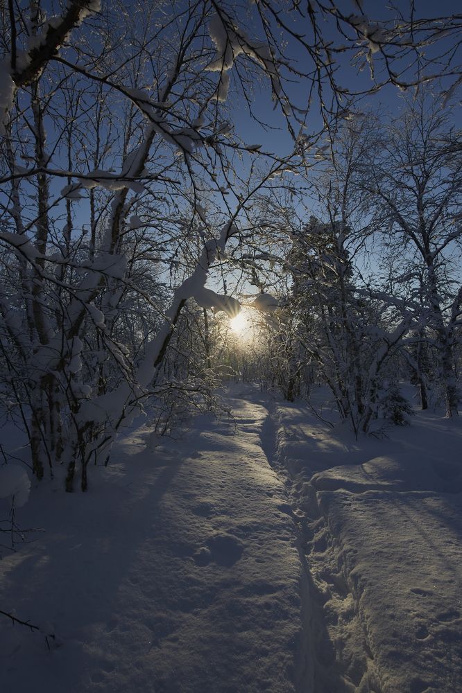 Photograph by Николай Ткач