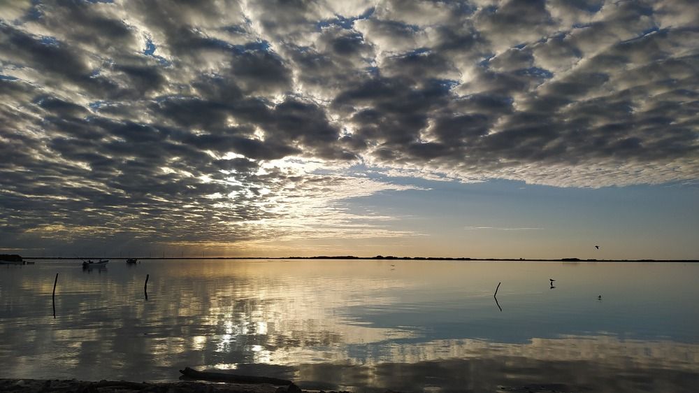 Photograph by Janine Rodríguez