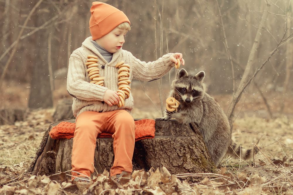 Photograph by Iryna Petrenko