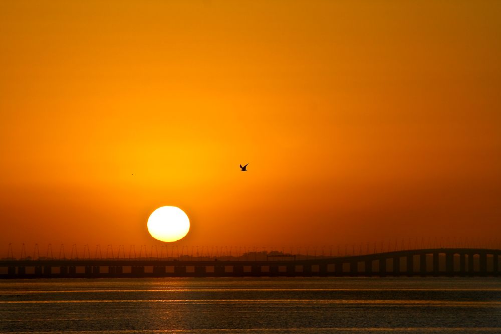 the wake up of the bridge