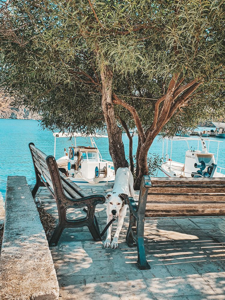 Photograph by Daria Priimak