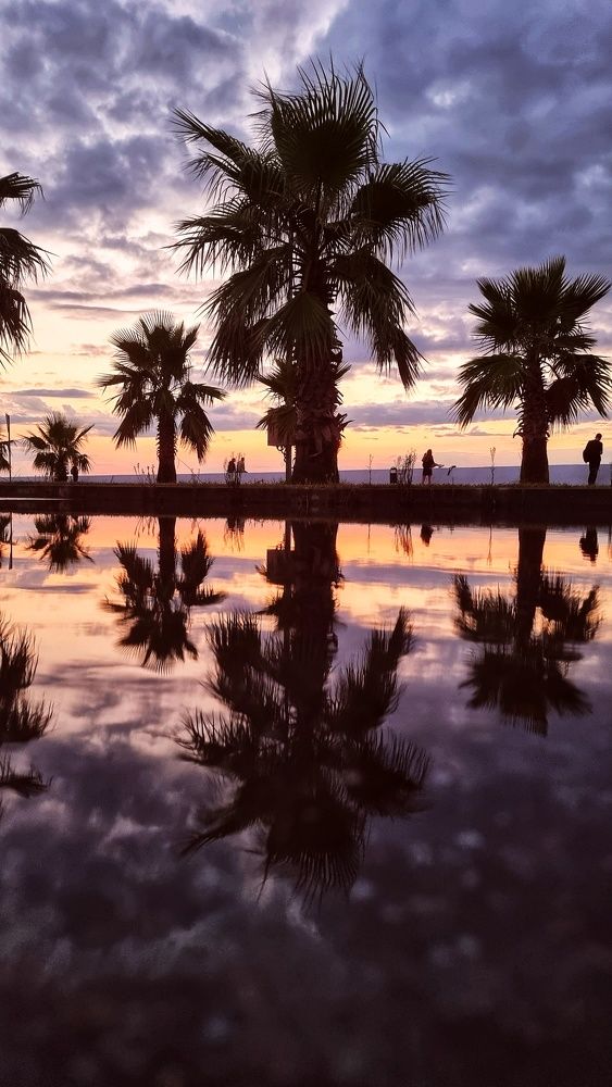 Фотография автора Наталья Законова