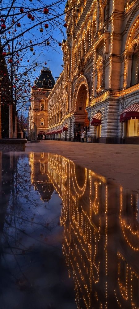 Фотография автора Наталья Законова