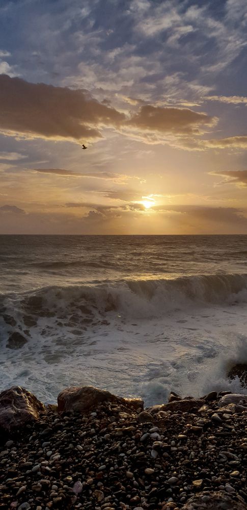 Photograph by Karolina Kamocka