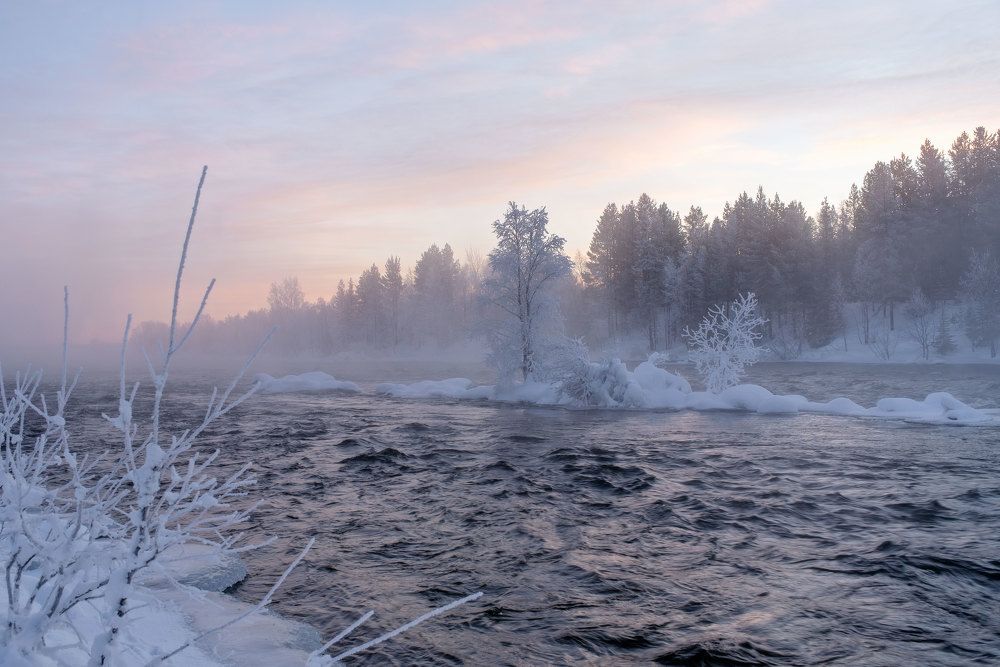 Зимнее цветение на Пиренге