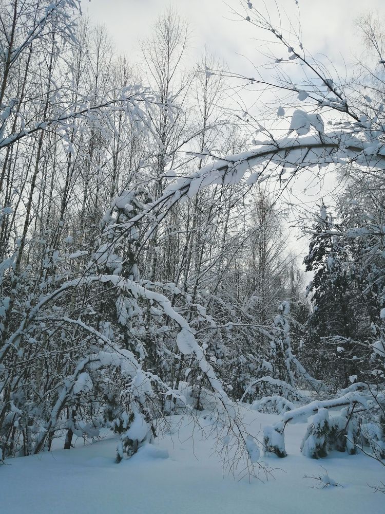 Photograph by Мария Храмова