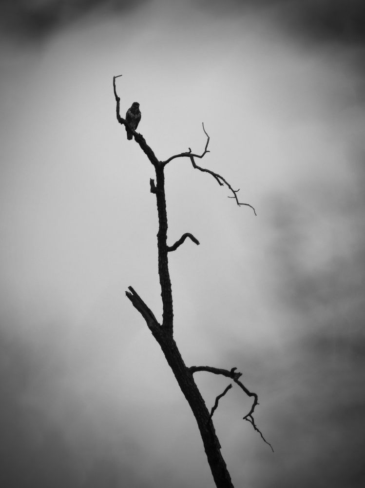 Photograph by Bruno Golemac