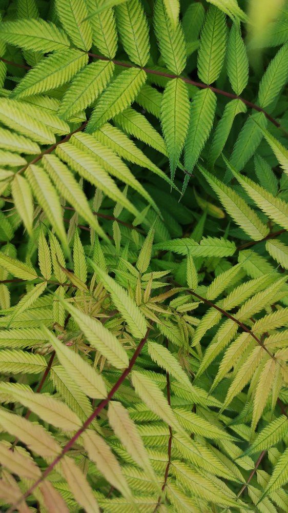 Photograph by Мария